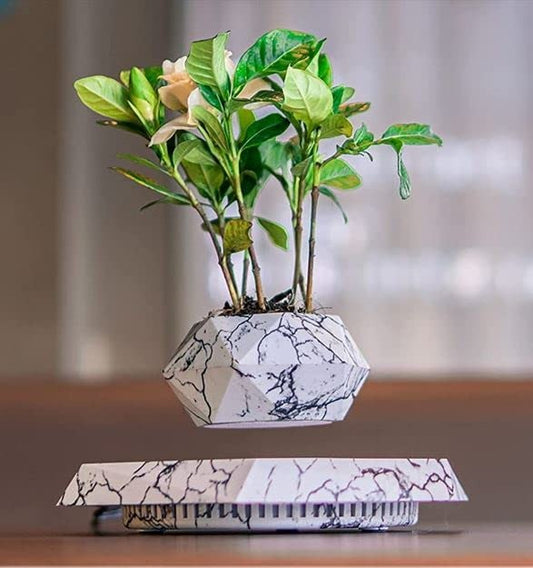 Levitating Magnetic Floating Plant Pot – product photo